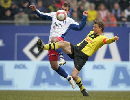 观点总结 观点总结